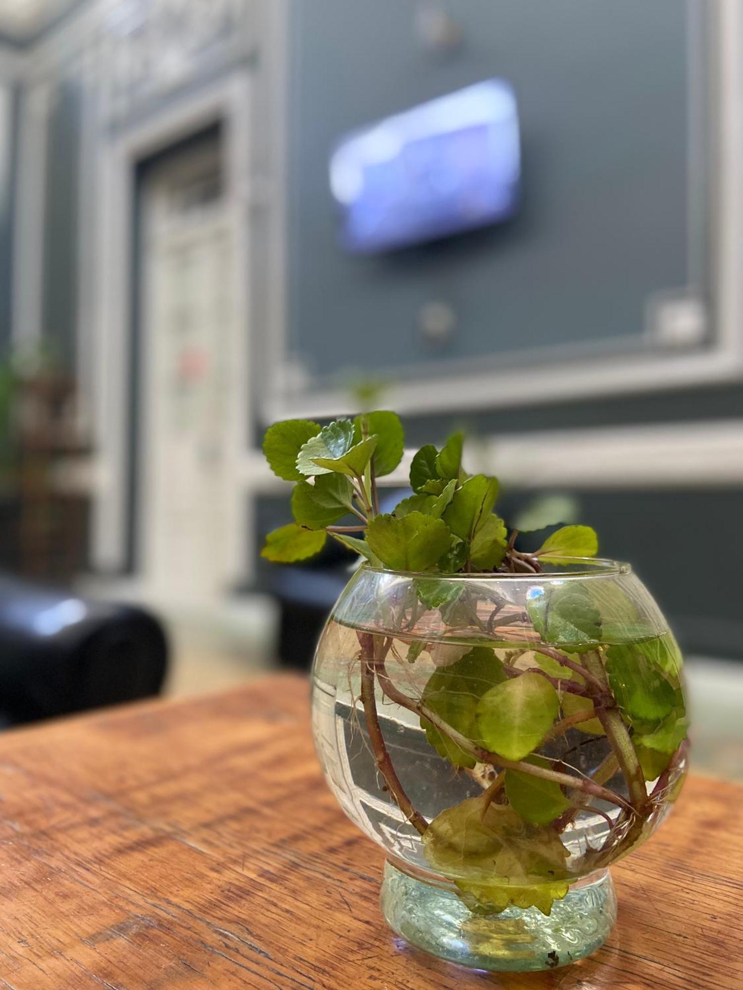 Hostel Alvear Cordoba Dış mekan fotoğraf